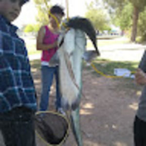 Meet your Posher, Nick